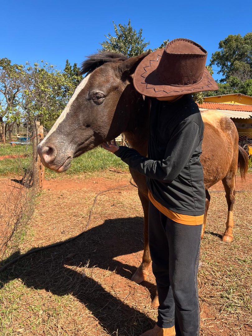Volta de cavalo na fazenda