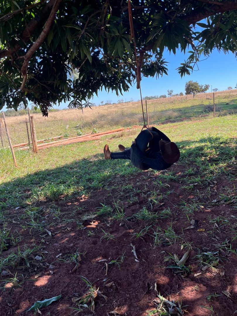 Balanço embaixo da árvore